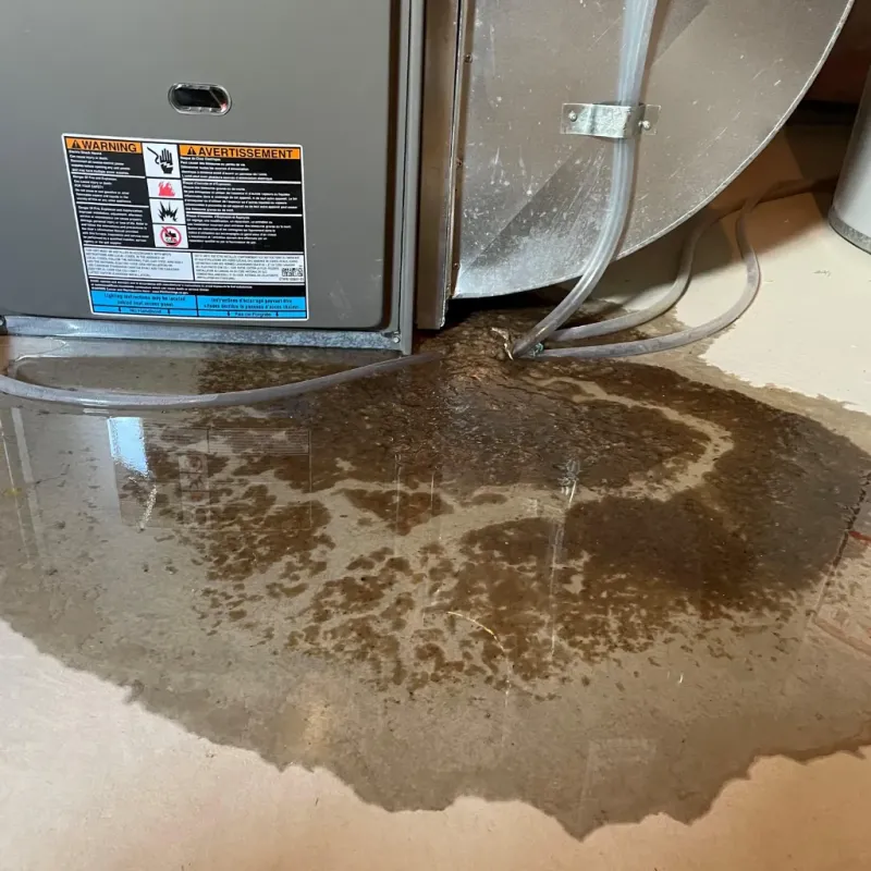 Appliance Leak Cleanup in Crockett, TX