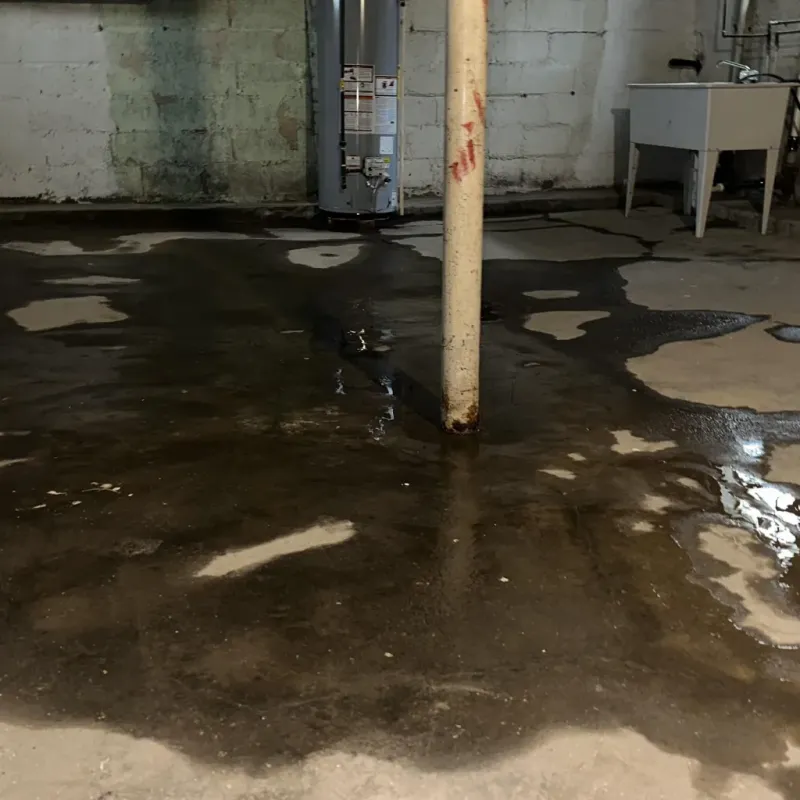 Emergency Water Extraction And Removal in Crockett, TX